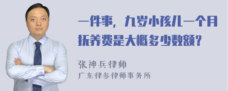 一件事，九岁小孩儿一个月抚养费是大概多少数额？