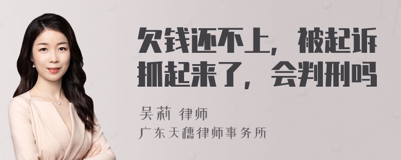 欠钱还不上，被起诉抓起来了，会判刑吗