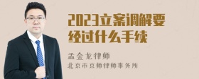 2023立案调解要经过什么手续