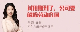 试用期到了，公司要解除劳动合同