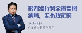 被判缓行罚金需要缴纳吗，怎么规定的