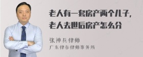 老人有一套房产两个儿子，老人去世后房产怎么分