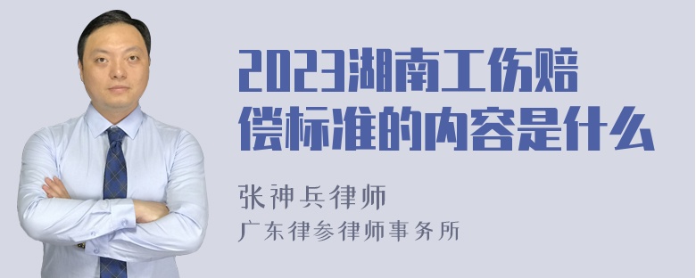 2023湖南工伤赔偿标准的内容是什么