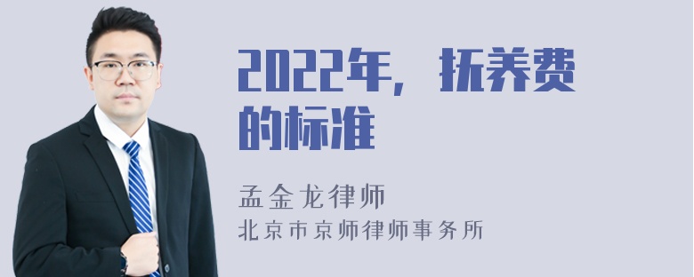 2022年，抚养费的标准