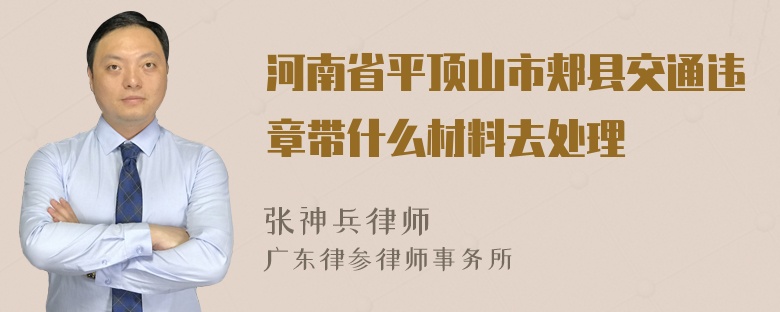 河南省平顶山市郏县交通违章带什么材料去处理