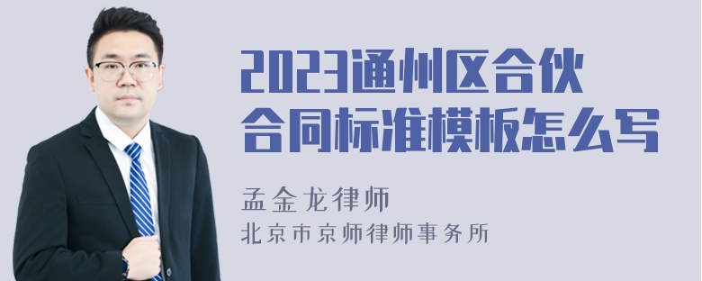 2023通州区合伙合同标准模板怎么写