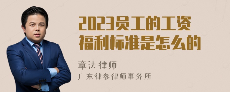 2023员工的工资福利标准是怎么的