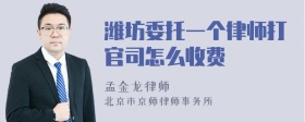 潍坊委托一个律师打官司怎么收费