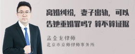 离婚纠纷，妻子出轨，可以告她重婚罪吗？算不算证据