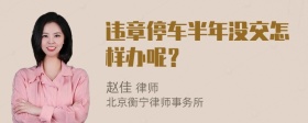 违章停车半年没交怎样办呢？