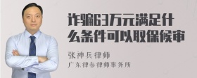 诈骗63万元满足什么条件可以取保候审