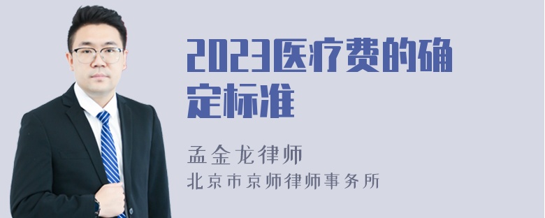 2023医疗费的确定标准