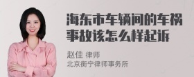 海东市车辆间的车祸事故该怎么样起诉