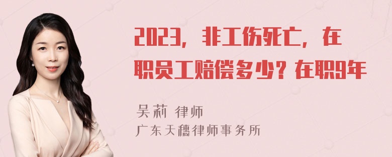 2023，非工伤死亡，在职员工赔偿多少？在职9年