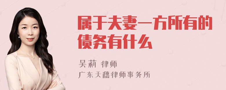 属于夫妻一方所有的债务有什么