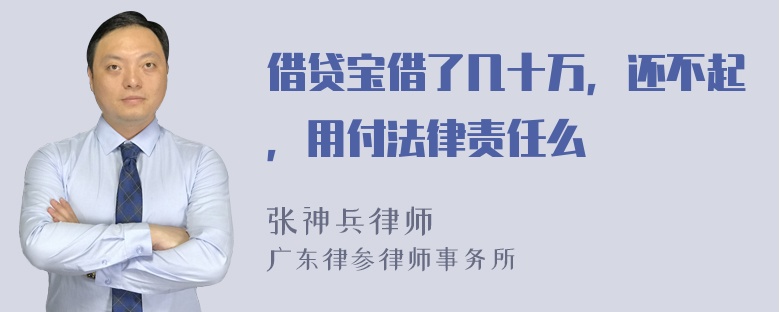 借贷宝借了几十万，还不起，用付法律责任么