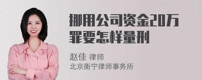 挪用公司资金20万罪要怎样量刑