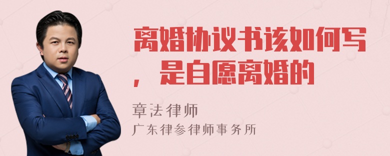 离婚协议书该如何写，是自愿离婚的