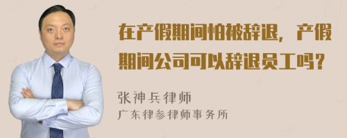 在产假期间怕被辞退，产假期间公司可以辞退员工吗？