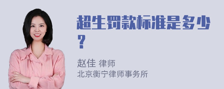 超生罚款标准是多少？