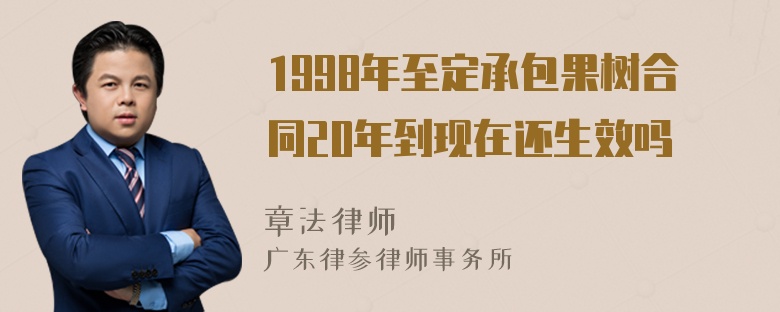 1998年至定承包果树合同20年到现在还生效吗