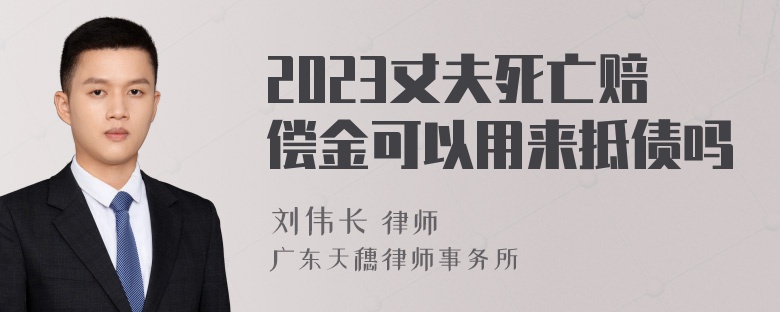 2023丈夫死亡赔偿金可以用来抵债吗