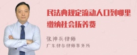 民法典规定流动人口到哪里缴纳社会抚养费