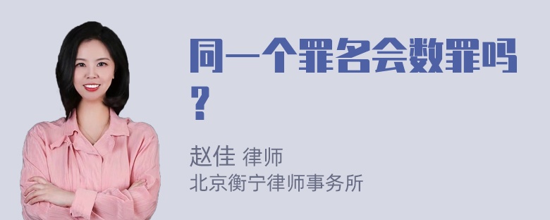 同一个罪名会数罪吗？