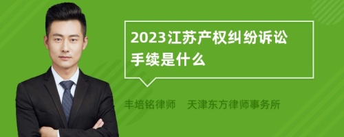 2023江苏产权纠纷诉讼手续是什么