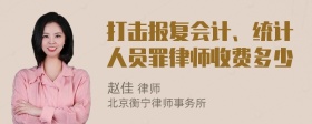 打击报复会计、统计人员罪律师收费多少