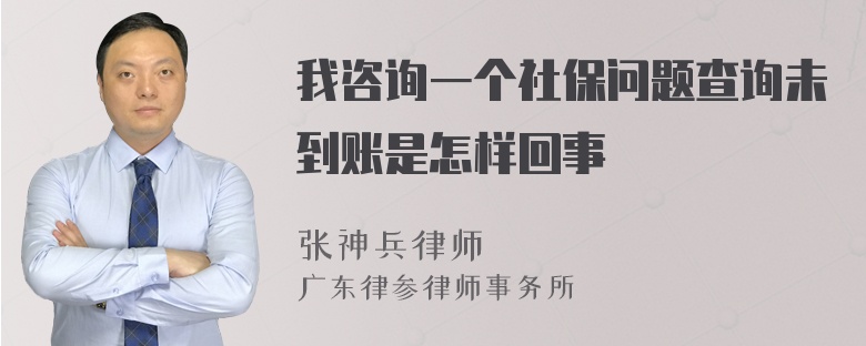 我咨询一个社保问题查询未到账是怎样回事