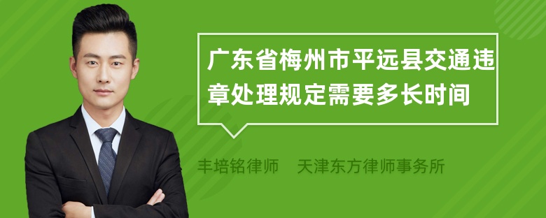 广东省梅州市平远县交通违章处理规定需要多长时间