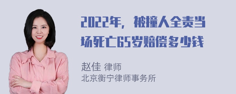 2022年，被撞人全责当场死亡65岁赔偿多少钱