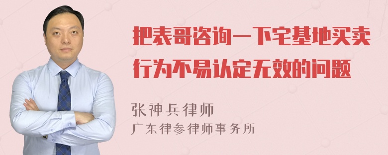 把表哥咨询一下宅基地买卖行为不易认定无效的问题