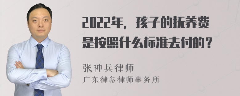 2022年，孩子的抚养费是按照什么标准去付的？