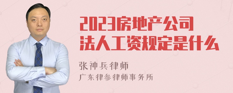 2023房地产公司法人工资规定是什么