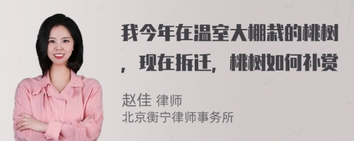 我今年在温室大棚栽的桃树，现在拆迁，桃树如何补赏