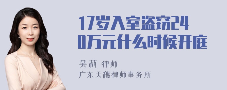 17岁入室盗窃240万元什么时候开庭