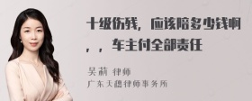 十级伤残，应该陪多少钱啊，，车主付全部责任