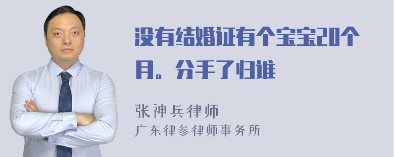 没有结婚证有个宝宝20个月。分手了归谁