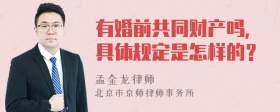 有婚前共同财产吗，具体规定是怎样的？