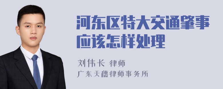 河东区特大交通肇事应该怎样处理