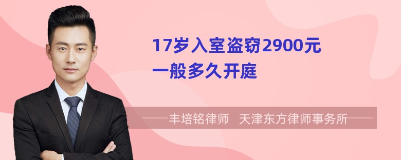 17岁入室盗窃2900元一般多久开庭