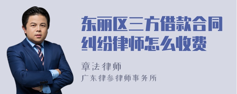 东丽区三方借款合同纠纷律师怎么收费