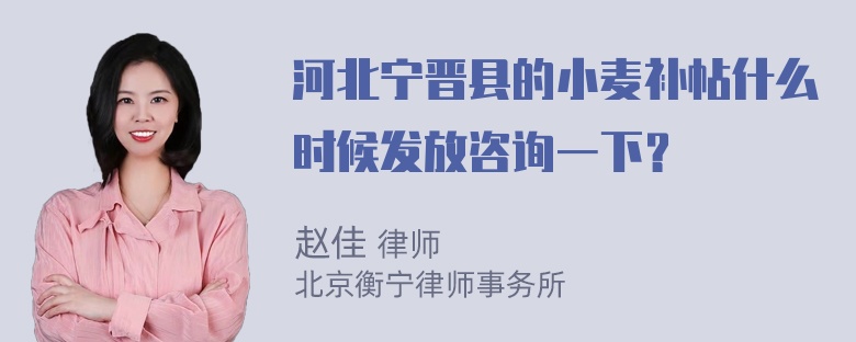 河北宁晋县的小麦补帖什么时候发放咨询一下？