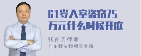 61岁入室盗窃75万元什么时候开庭