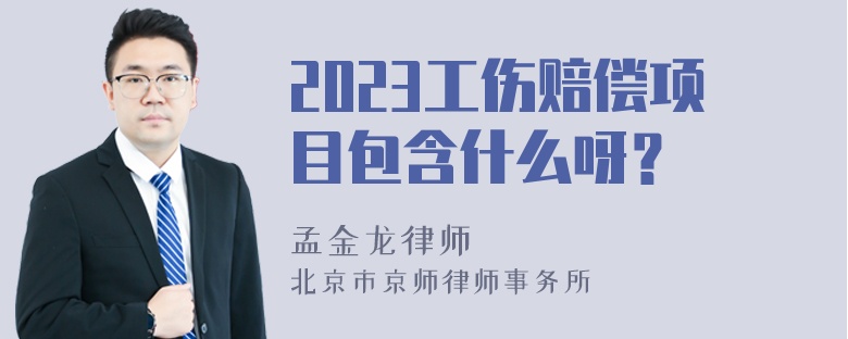 2023工伤赔偿项目包含什么呀？