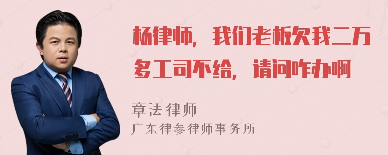 杨律师，我们老板欠我二万多工司不给，请问咋办啊