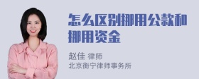 怎么区别挪用公款和挪用资金