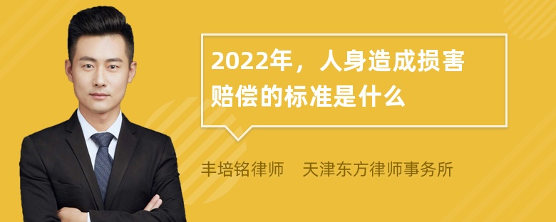 2022年，人身造成损害赔偿的标准是什么